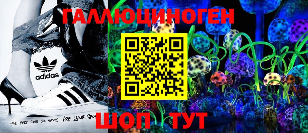 Галлюциногенные грибы Psilocybine cubensis Малгобек