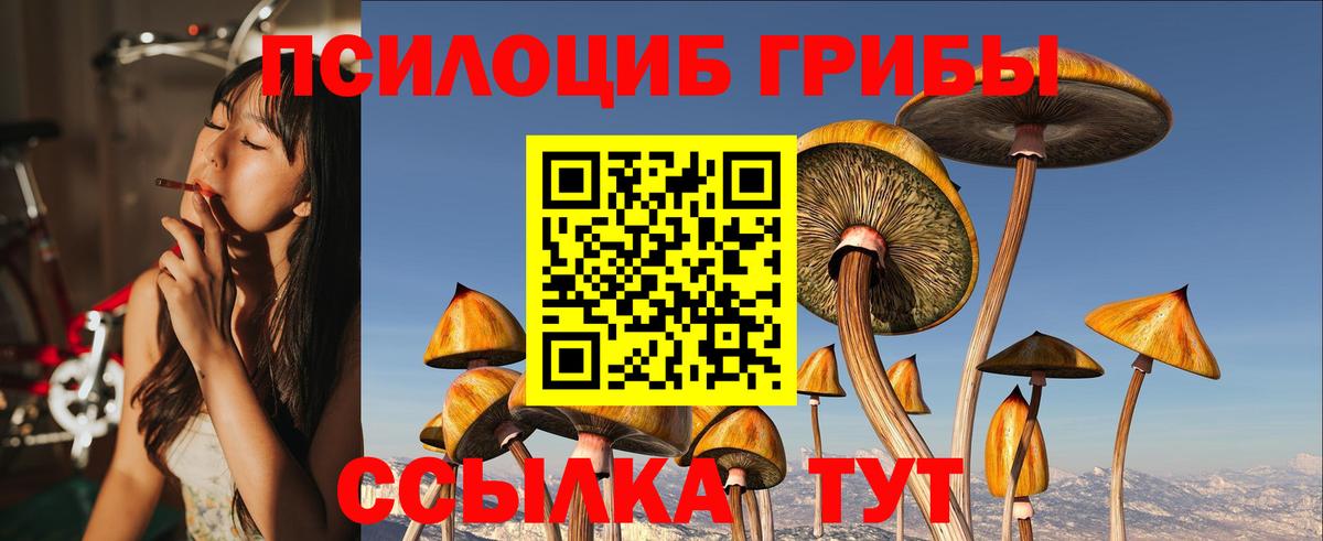 Малгобек  Галлюциногенные грибы прущие грибы  Вход с VPN  Галлюциногенные грибы прущие грибы 